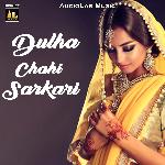 Dulha Chahi Sarkari - Jayant Dubey Song Download